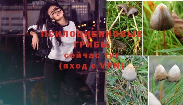 круглые Бронницы